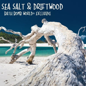 Sea Salt and Driftwood Fragrance Oil By BBW®