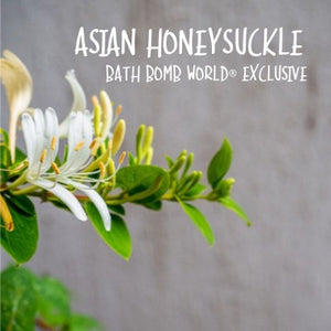 Asian Honeysuckle Fragrance Oil By BBW®