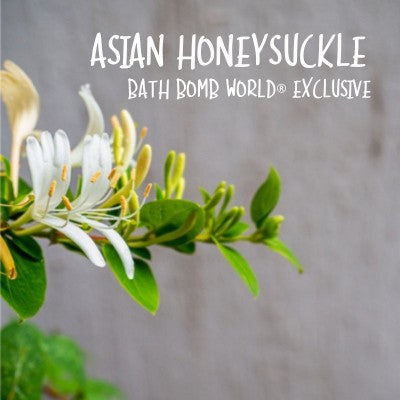 Asian Honeysuckle Fragrance Oil By BBW®