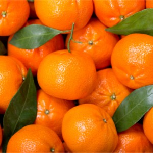 Tangerine Essential Oil